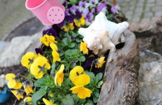 Ferienwohnung Brunow "In der Natur Zuhause" - Foto 10