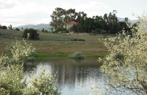 Quinta da Alma Cheia - Foto 51