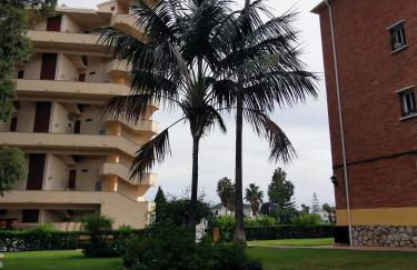 Sunny Los Álamos - Foto 5