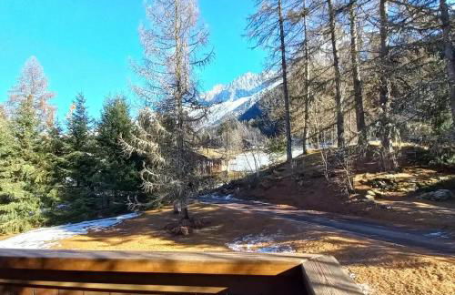 Chalet Les Charmilles - Vallée de Chamonix - 5 chambres - Foto 50