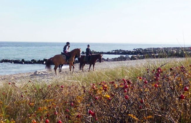 Weitkamper Comfortable Holiday Residence - Photo 16