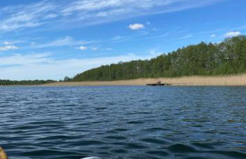 Miętowy Domek Trzebawie - Foto 29