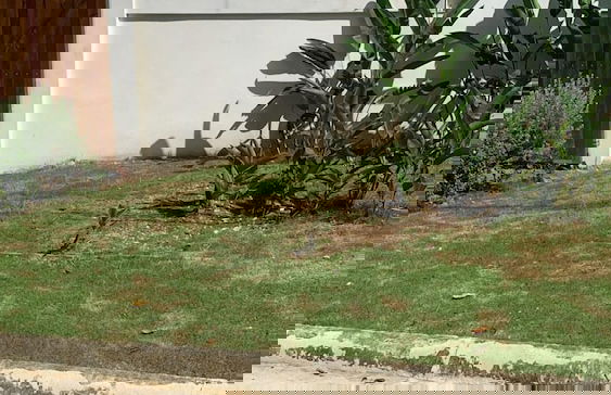 Blue Seas Two Unity Hall - Foto 41