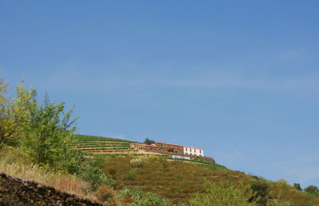 Quinta da Veiga - Foto 27