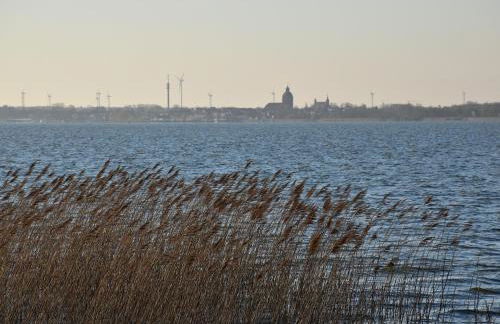 Fewo Möwe Dierhagen - Foto 26