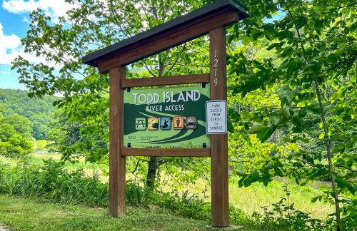 Bear Necessities - Photo 17