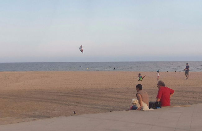 Apartamento Llevant - Foto 15