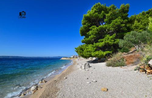 Apartman Luka - Photo 18