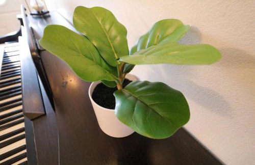 Private Oasis Ranch • In Town Princeton • 2BR/2B - Foto 21