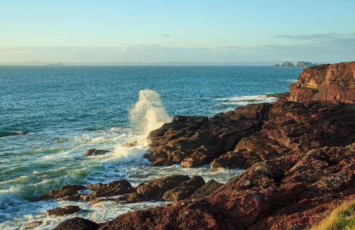 Shearwater - Foto 29