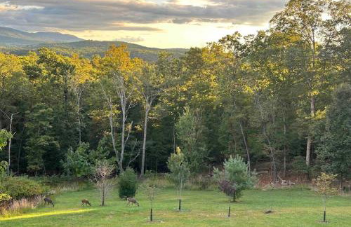 Shenandoah Thunder Chalet Guest Suite - Foto 15