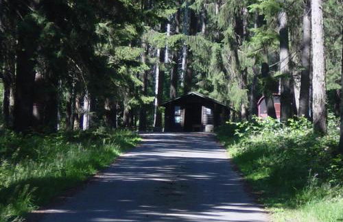 Haus am Wald - Foto 28