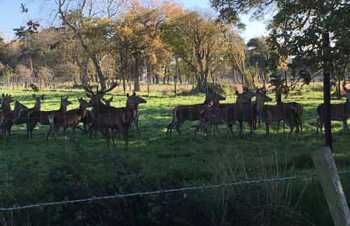 killarney barn - Foto 15