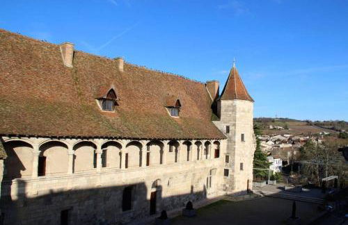 Les Gîtes du château - L Appartement du Roi - Magnifique Appartement face au château - Foto 21