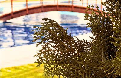 SW Rustica Apartamentos - Photo 4