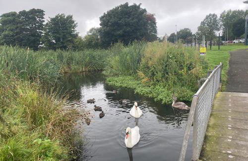 Fairway House - Foto 27