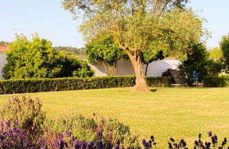 Casa do Sol - Turismo Rural - Nazaré Alcobaça - Foto 19