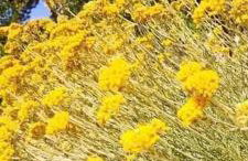 Apartman Milanko - Foto 61