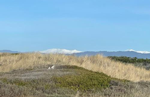 Surfside Beach House near Ancient Redwoods - Foto 12
