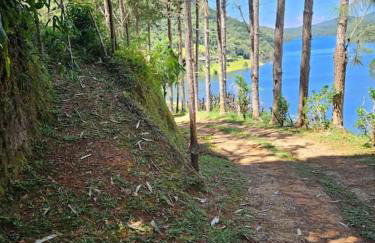 Sítio com acesso à represa e vista paradisíaca - Foto 20