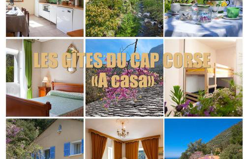 Les Gîtes du Cap Corse - Foto 3