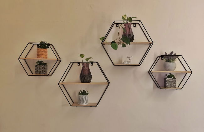 Oddity Studio By Paradox - Foto 26