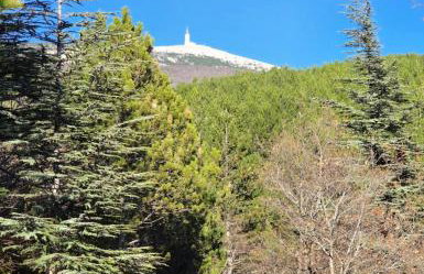Les Gites du Mont Ventoux - Foto 76