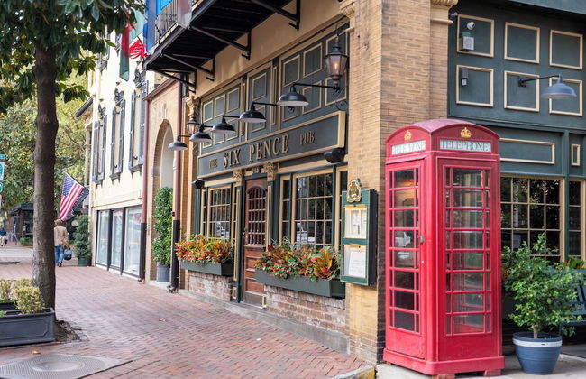 Kasa Jules Savannah - Foto 80