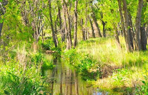 Cozy and Authentic Tipi Rental on Working Horse Ranch near Denver, Colorado - Foto 15