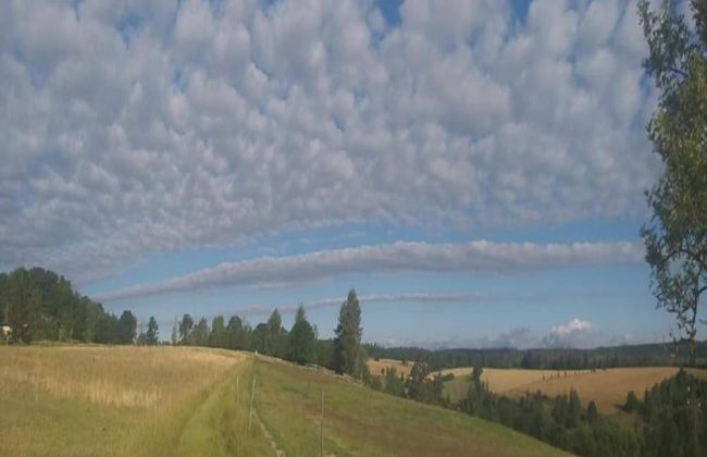 Nice Apartment in Allrode With Private Terrace - Photo 54