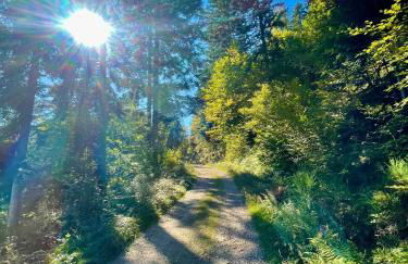 Chalet Des Feignes - Photo 43