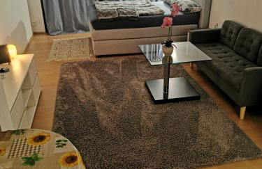 Privatwohnung im Stadtzentrum - Photo 1