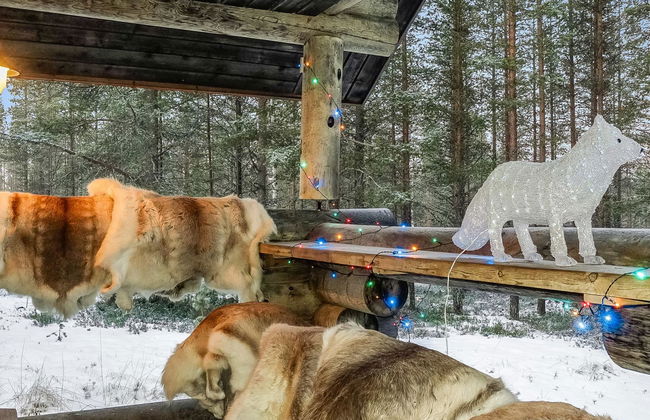 Unarin kettu - Foto 21