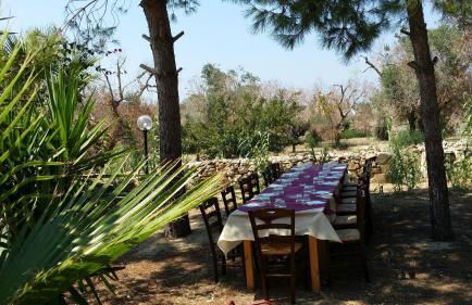 Agriturismo Tenuta La Siesta - Foto 128