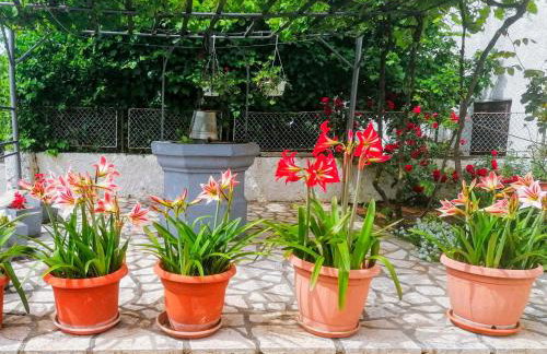 Apartman Lavanda sa bazenom i okućnicom 4* - Foto 30