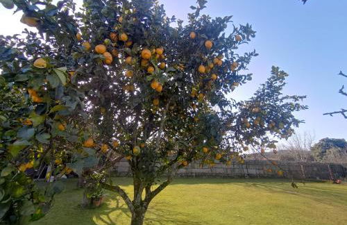 Casa Barros - Foto 16