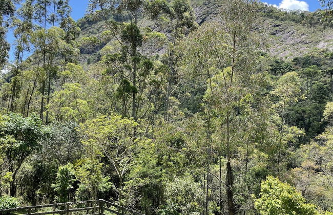 Casagon Alves in Gon Alves - Foto 3