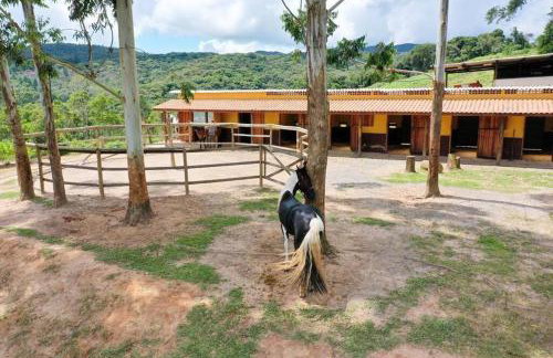 Casa de Campo Ibiúna Fazenda Vale Dourado - Photo 10