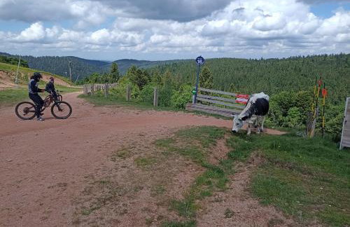 Notre Renardière, Gîtes à Saulxures-sur-Moselotte, Hautes-Vosges - Foto 64