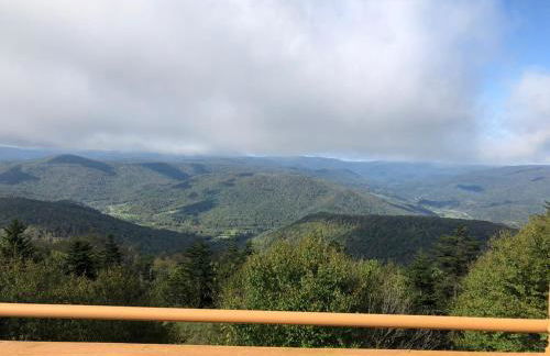 301 D Summit Dr. , Snowshoe Mountains, WV 26209 - Foto 15