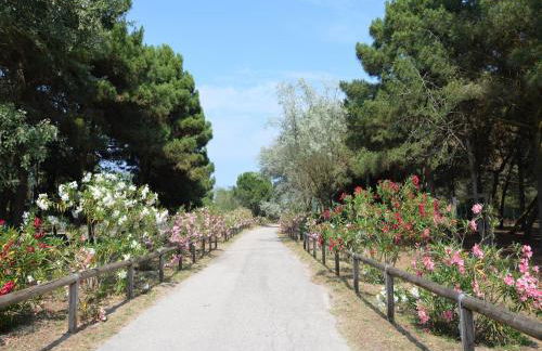 Beachy Comfort in Lido di Spina - Foto 76