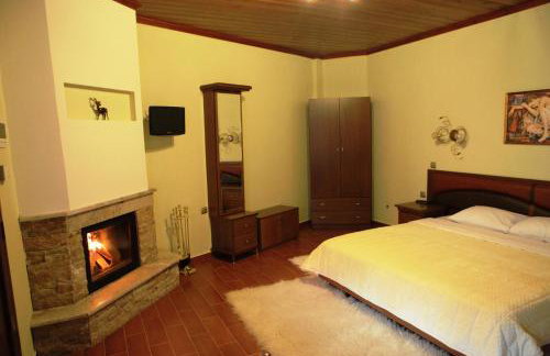 Xenonas Platia - Photo 11