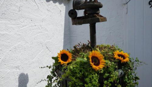 Relaxen im alten Winzerhaus - Foto 3