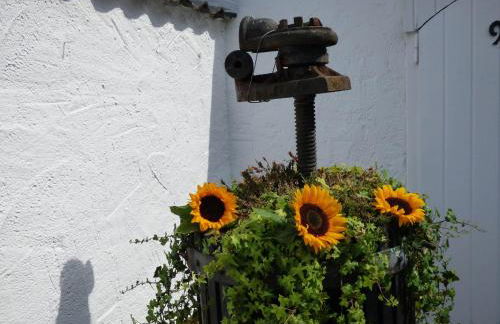 Relaxen im alten Winzerhaus - Foto 3