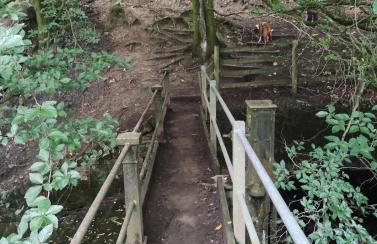 The Peak Retreat - Foto 23