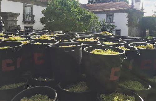 Quinta De Guimaraes - Foto 9