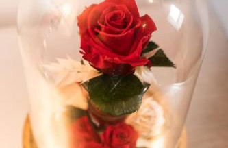 La Rose Médiévale Balnéo & Sauna - Foto 15