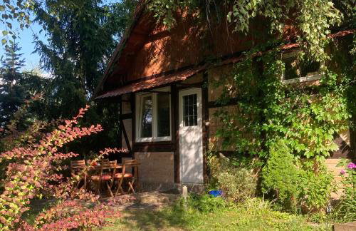 Letnia Oficyna - Foto 1