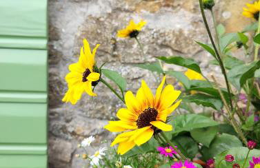 Casa Histria - Foto 13