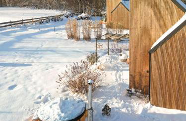 Zen Sasino - Foto 24